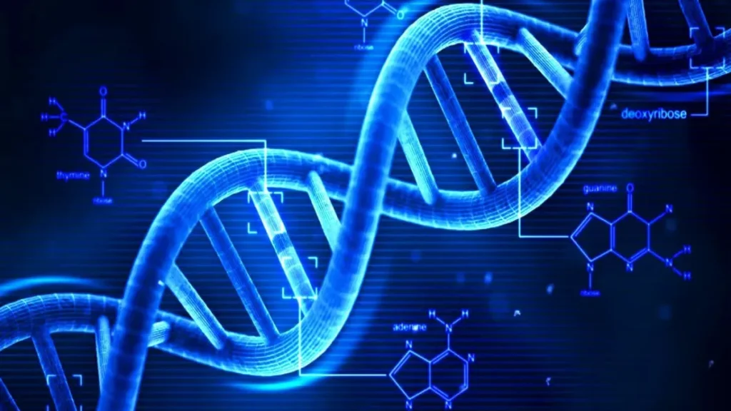 Rekombinant DNA Teknolojisi