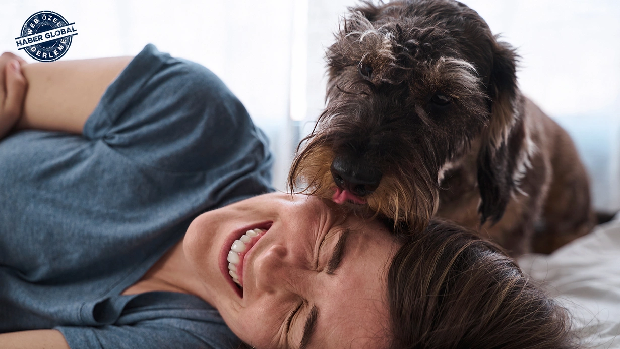 Evcil Hayvanların Yaptığı Hareketlerin Anlamları