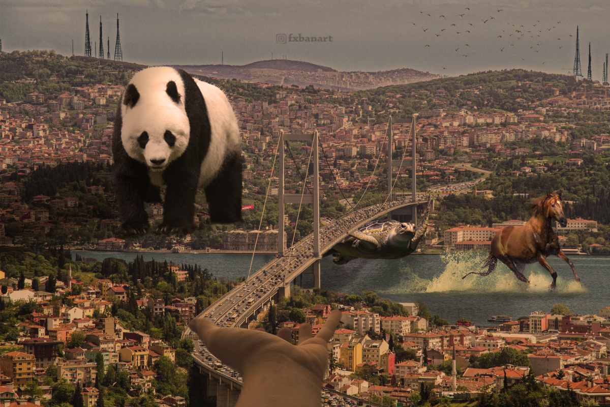 istanbul kopru panda