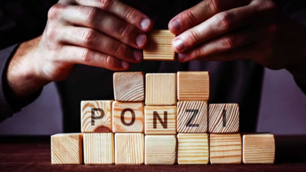 Ponzi Sistemi Nedir ? 2 image 7