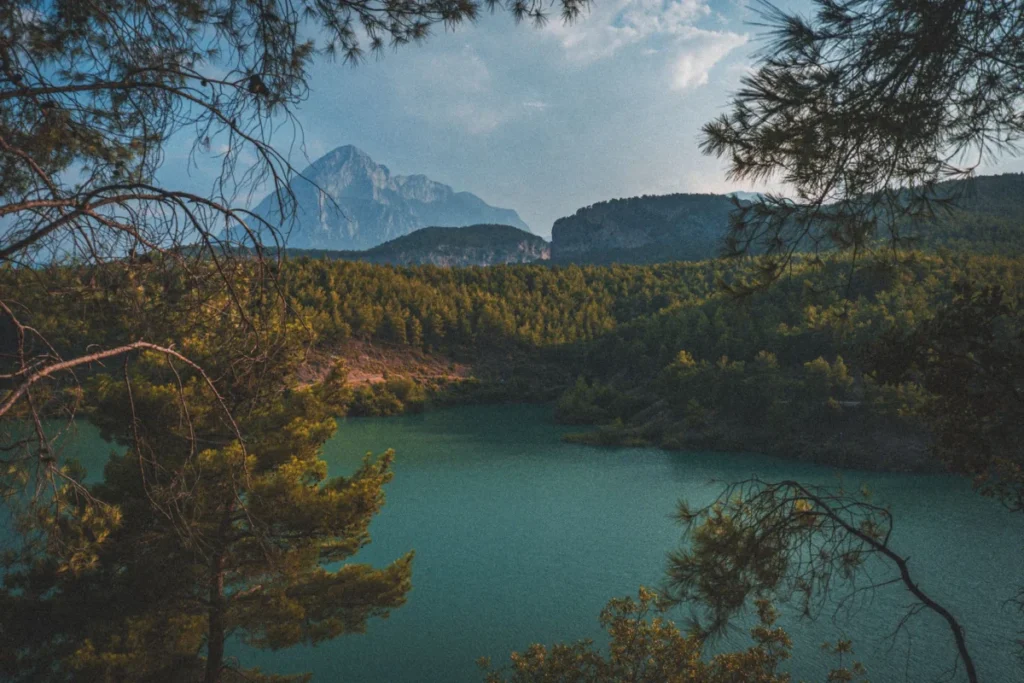 Antalya Karavan Parkları Haritası (Konum, Ücret, Olanaklar) 2026 2 Geyikbayırı bölgesinde çam ormanı içinde karavan kampı