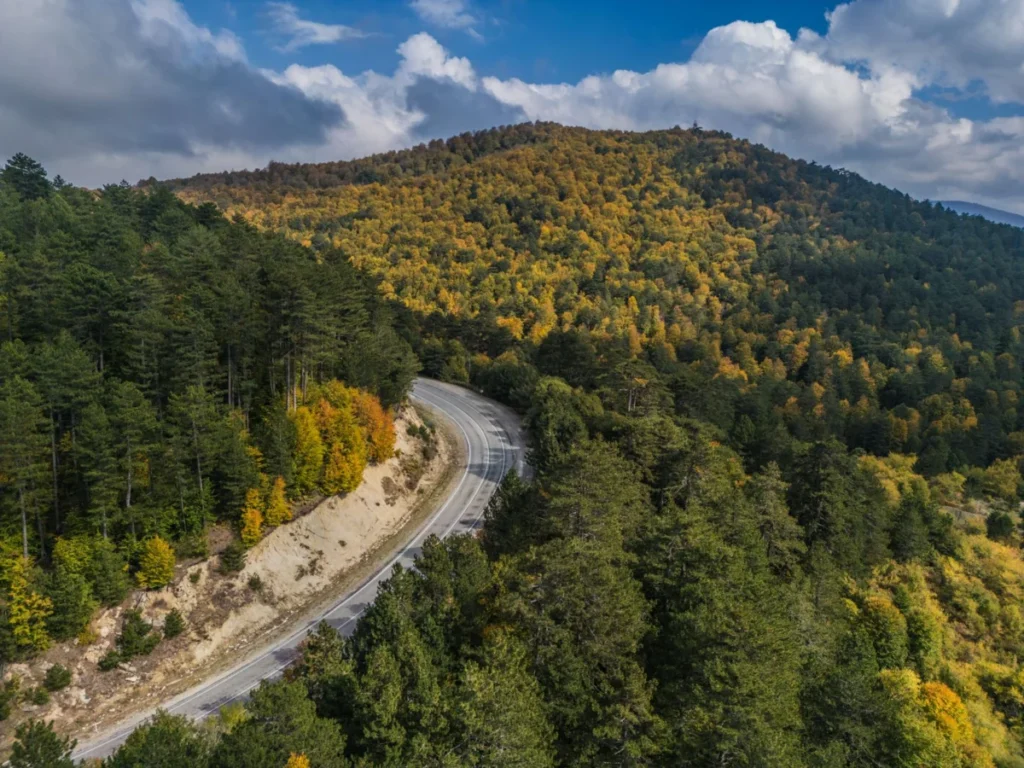 Kartepe eteklerinde sonbahar renklerine bürünen orman yolu